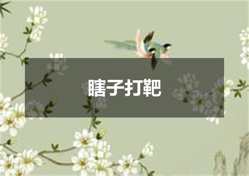 瞎子打靶