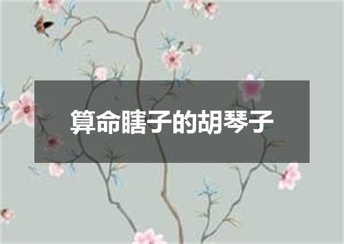 算命瞎子的胡琴子