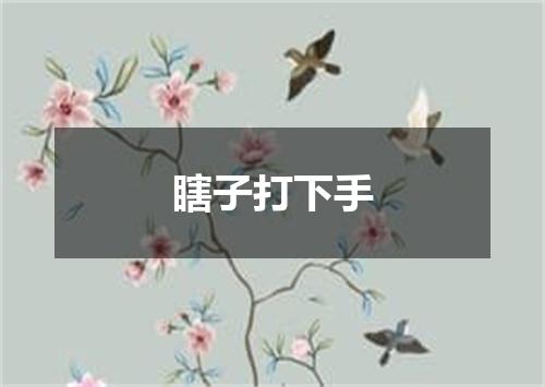 瞎子打下手