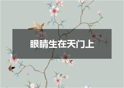眼睛生在天门上