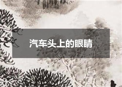 汽车头上的眼睛