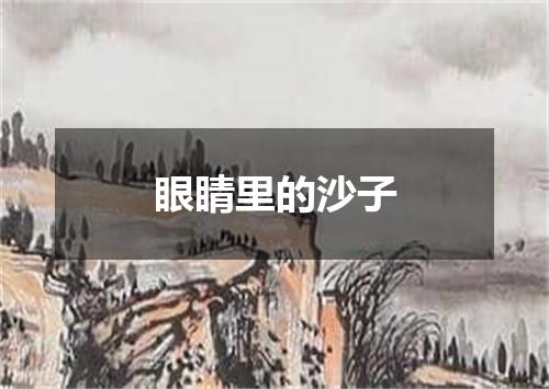 眼睛里的沙子