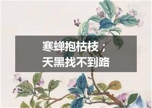 寒蝉抱枯枝；天黑找不到路