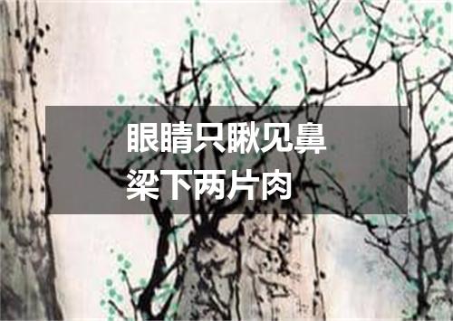 眼睛只瞅见鼻梁下两片肉