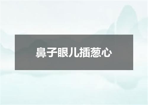 鼻子眼儿插葱心