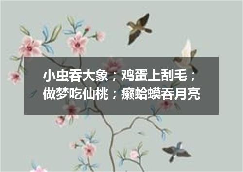 小虫吞大象；鸡蛋上刮毛；做梦吃仙桃；癞蛤蟆吞月亮