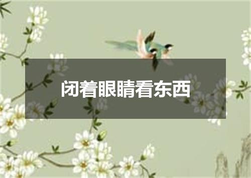 闭着眼睛看东西