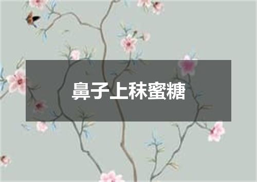鼻子上秣蜜糖