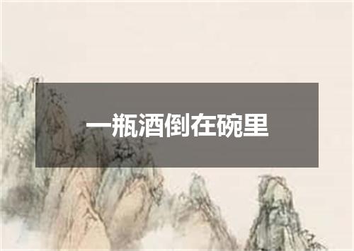 一瓶酒倒在碗里
