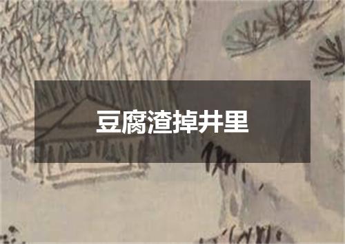 豆腐渣掉井里