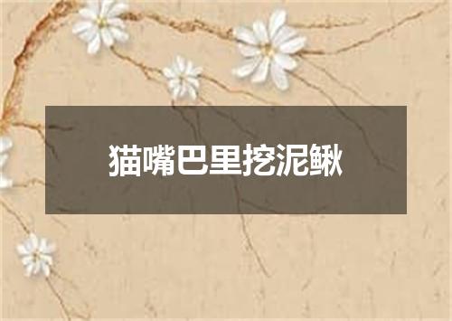 猫嘴巴里挖泥鳅