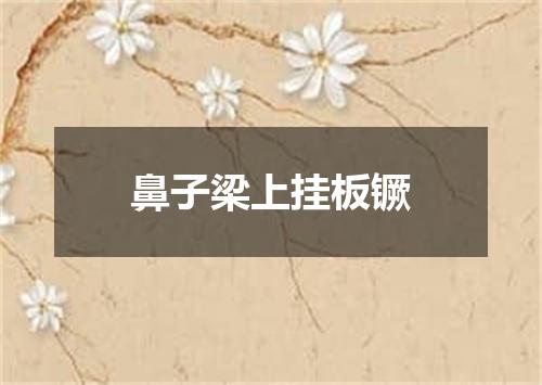 鼻子梁上挂板镢