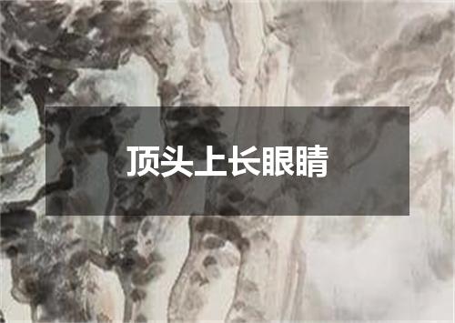顶头上长眼睛