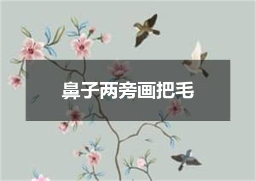 鼻子两旁画把毛