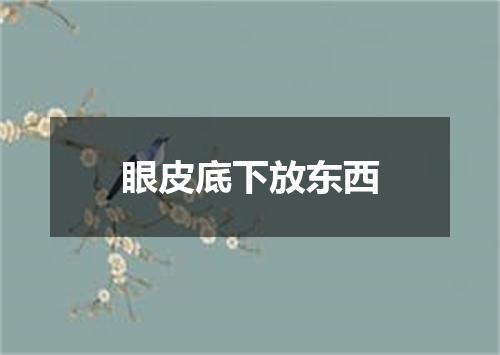 眼皮底下放东西