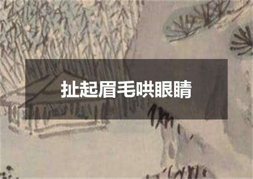 扯起眉毛哄眼睛