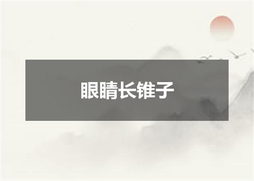 眼睛长锥子