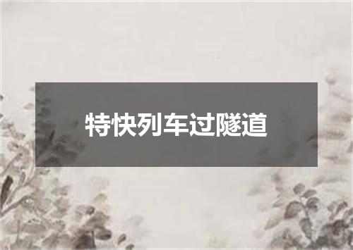 特快列车过隧道