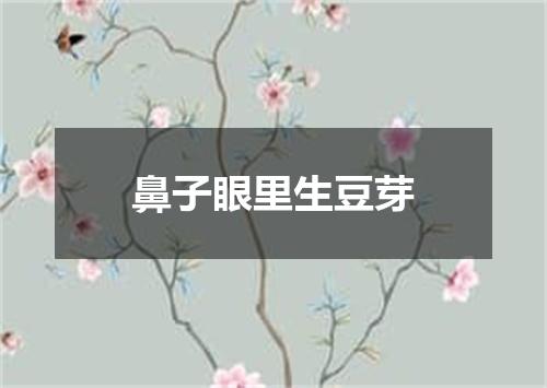 鼻子眼里生豆芽