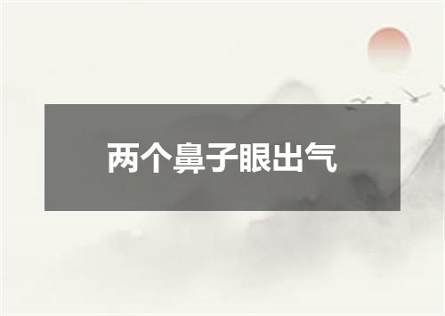 两个鼻子眼出气