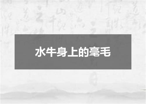 水牛身上的毫毛