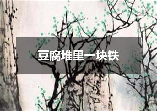 豆腐堆里一块铁