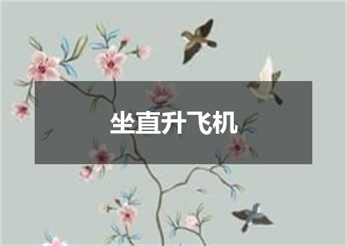坐直升飞机