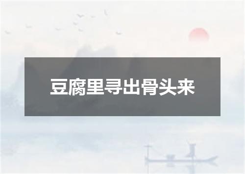 豆腐里寻出骨头来