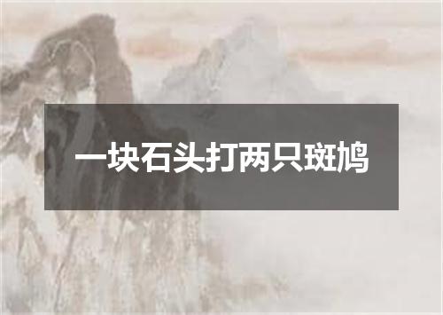 一块石头打两只斑鸠