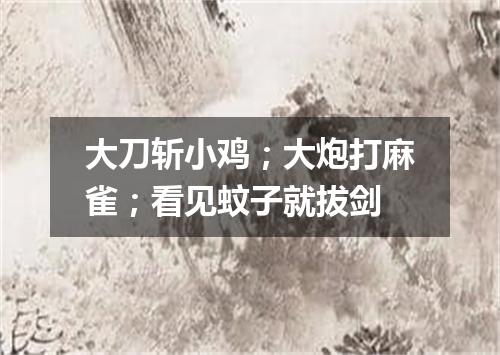 大刀斩小鸡；大炮打麻雀；看见蚊子就拔剑