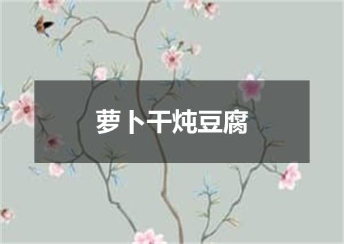 萝卜干炖豆腐