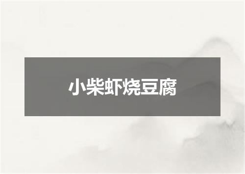 小柴虾烧豆腐