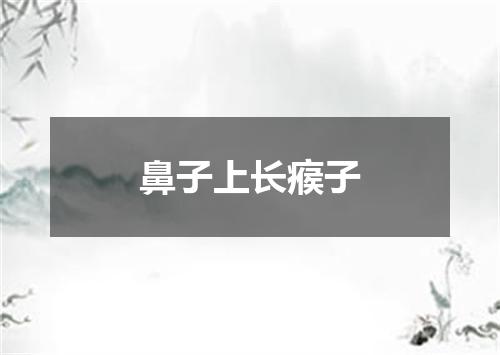 鼻子上长瘊子