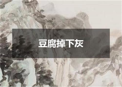 豆腐掉下灰
