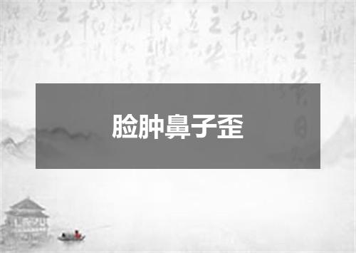 脸肿鼻子歪