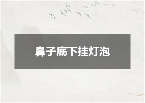 鼻子底下挂灯泡