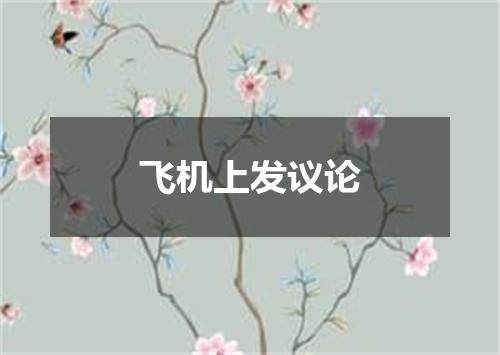 飞机上发议论