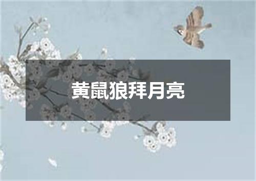 黄鼠狼拜月亮