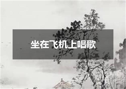 坐在飞机上唱歌