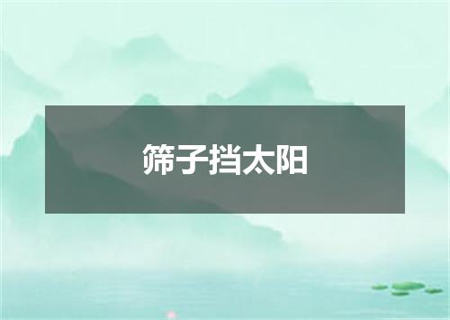 筛子挡太阳