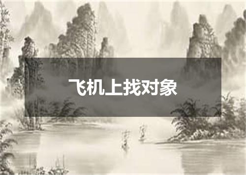 飞机上找对象