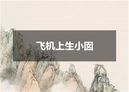 飞机上生小囡