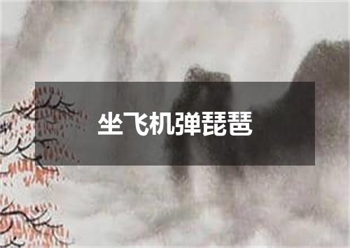 坐飞机弹琵琶