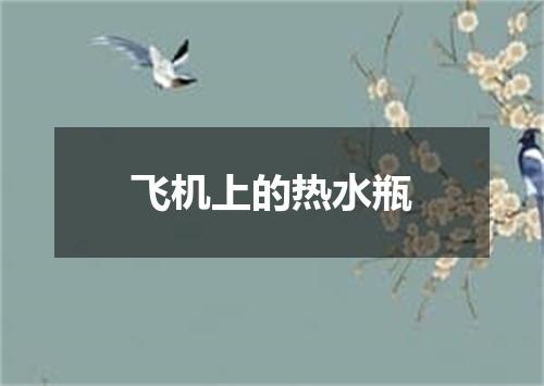 飞机上的热水瓶