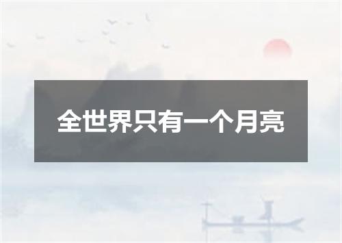 全世界只有一个月亮