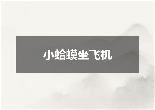 小蛤蟆坐飞机