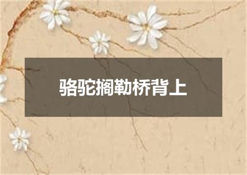 骆驼搁勒桥背上