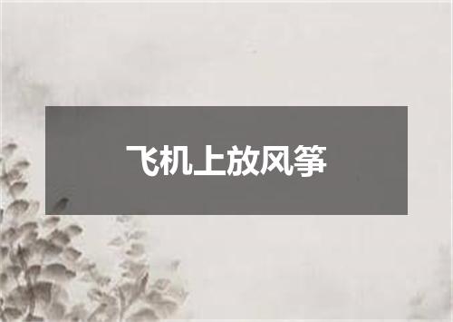飞机上放风筝