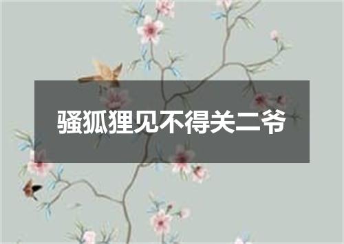 骚狐狸见不得关二爷