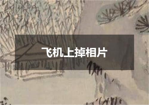 飞机上掉相片